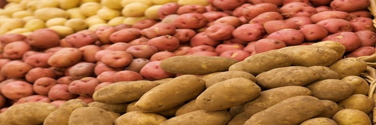 Breadcrumbs Image