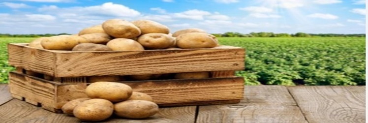 Breadcrumbs Image